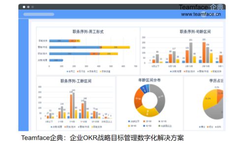 哪些企业适合使用HR人力资源管理系统