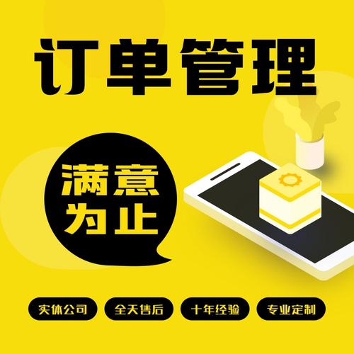 企业业务系统定制化