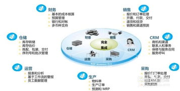 大型企业要怎样挑选ERP系统