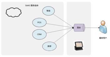 中小服饰企业应该选丽晶软件的哪种erp合适